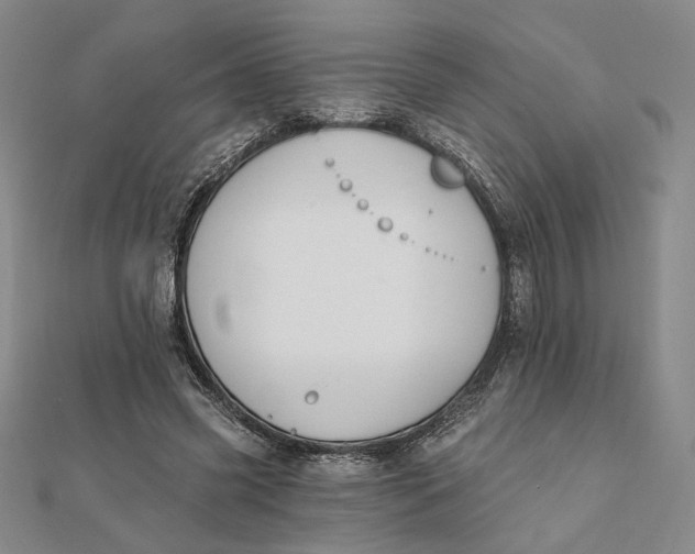 X0000112060541200908251023