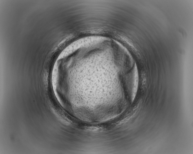 X0000112060542200908251023