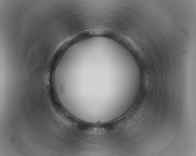 X0000112060543200908251023