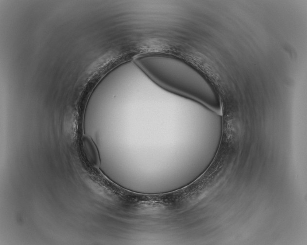 X0000112060544200908251023