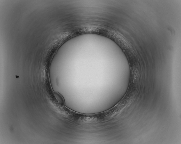 X0000112060546200908251023