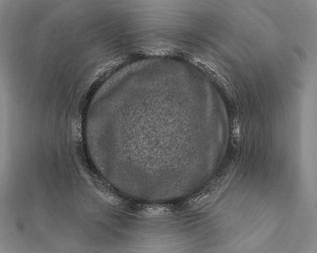 X0000112060547200908251023