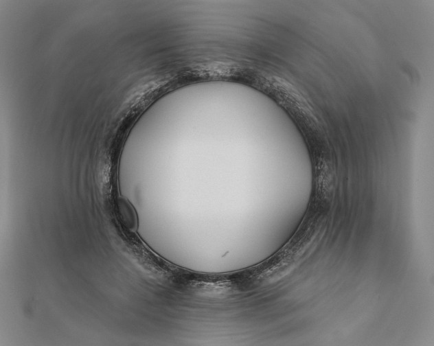 X0000112060548200908251023