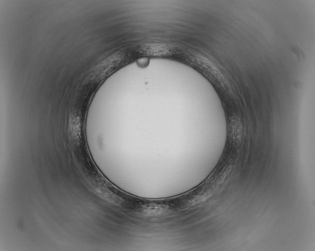 X0000112060549200908251023