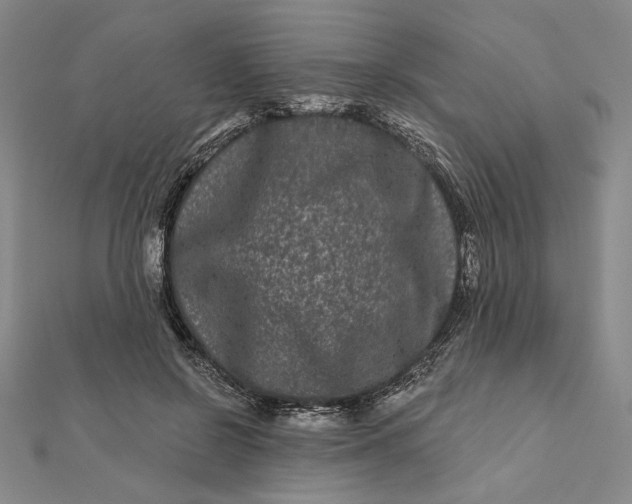 X0000112060550200908251023