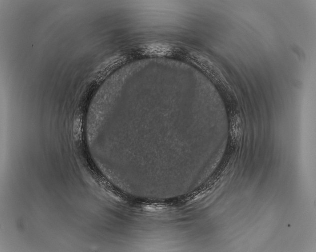 X0000112060551200908251023