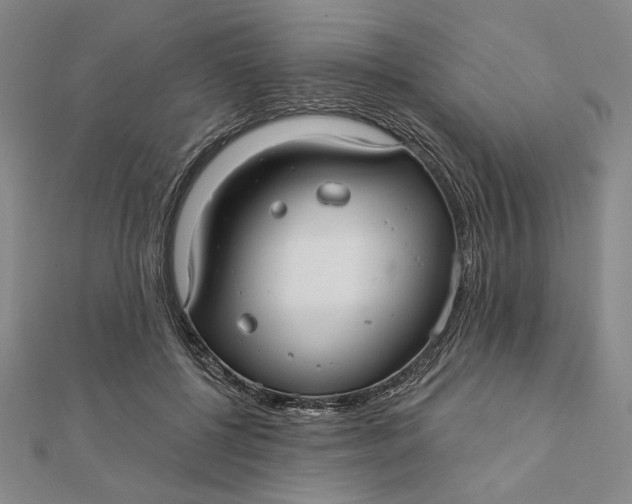 X0000112060552200908251023