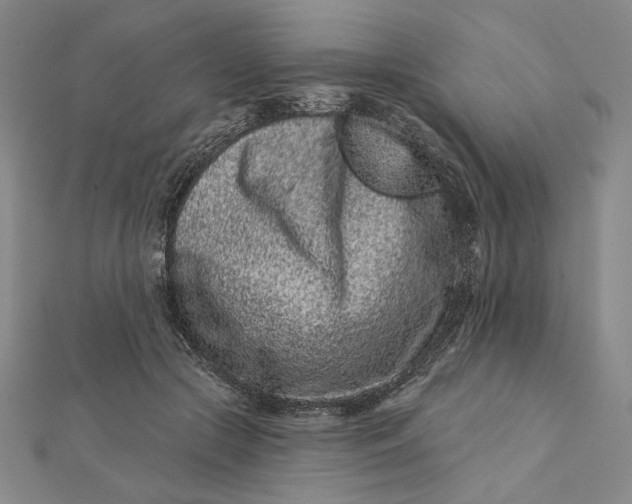 X0000112060553200908251023