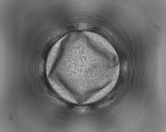 X0000112060554200908251023