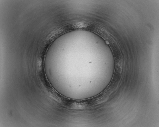 X0000112060556200908251023