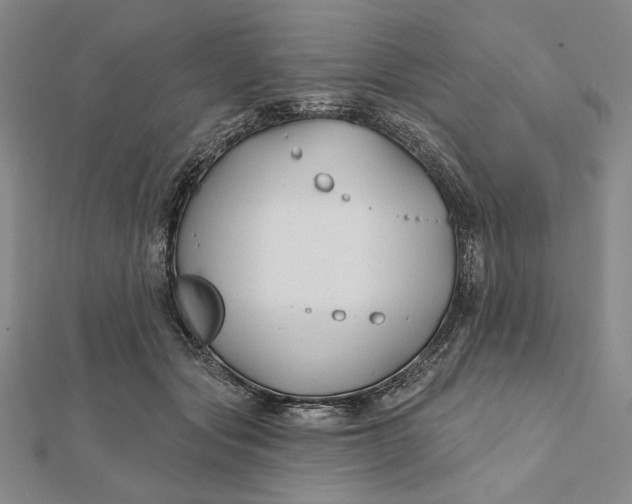 X0000112060557200908251023