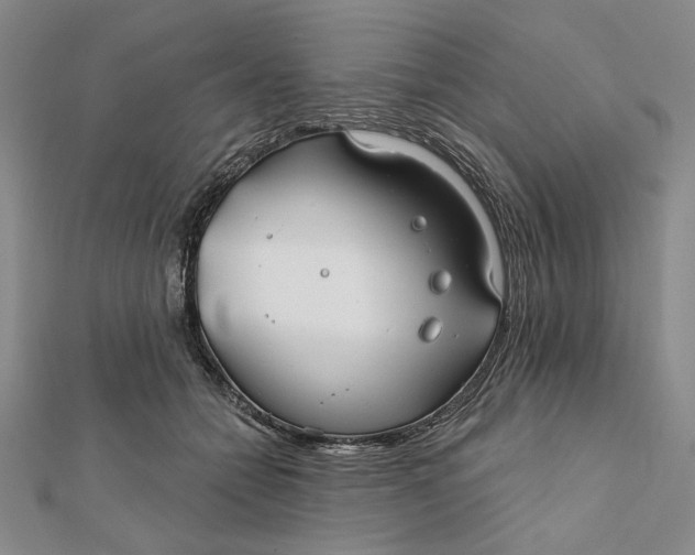 X0000112060558200908251023