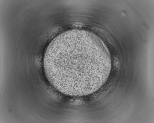 X0000112060559200908251023