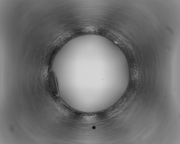 X0000112060560200908251023