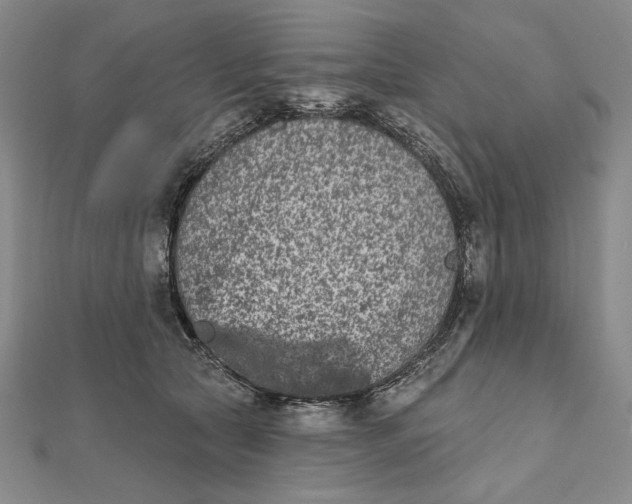 X0000112060561200908251023