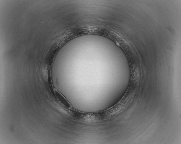 X0000112060562200908251023