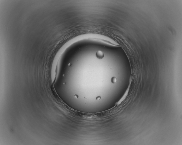 X0000112060564200908251023