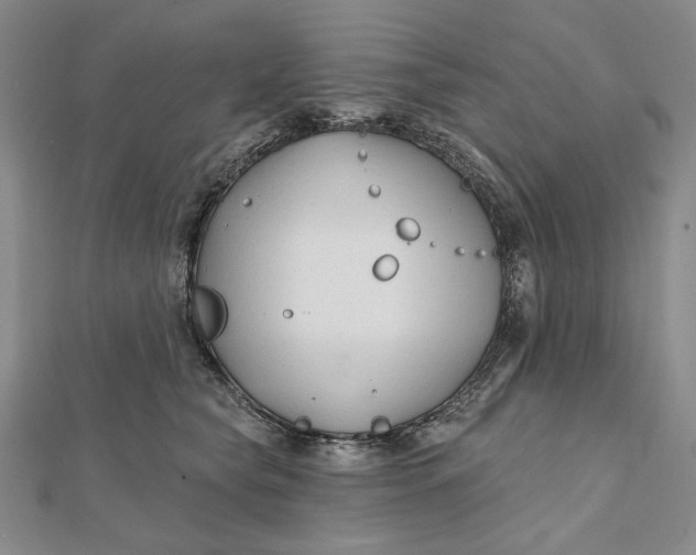 X0000112060565200908251023