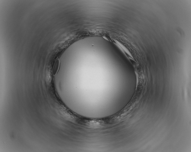 X0000112060566200908251023