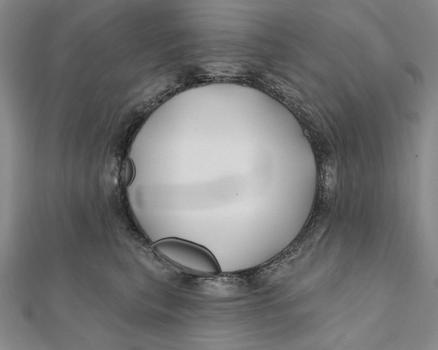 X0000112060567200908251023