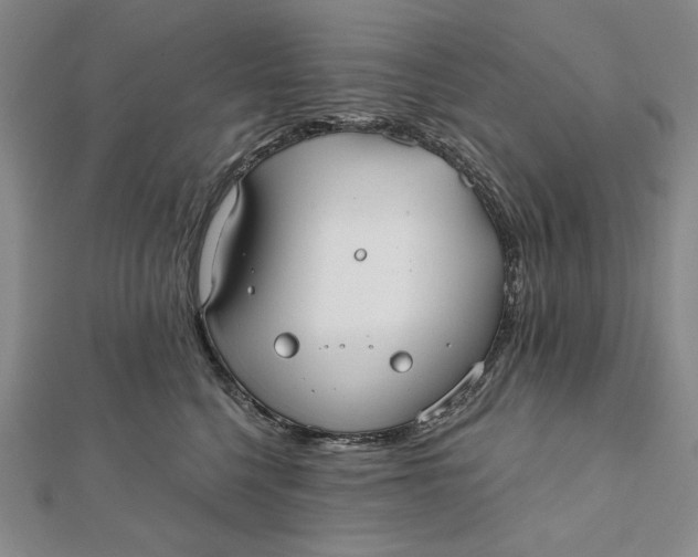 X0000112060568200908251023