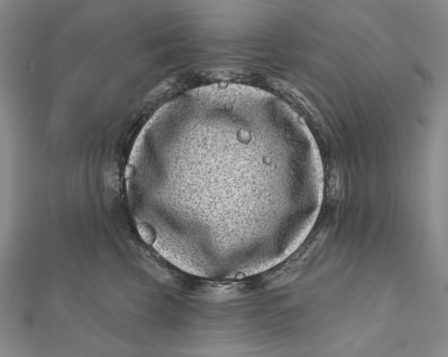 X0000112060569200908251023