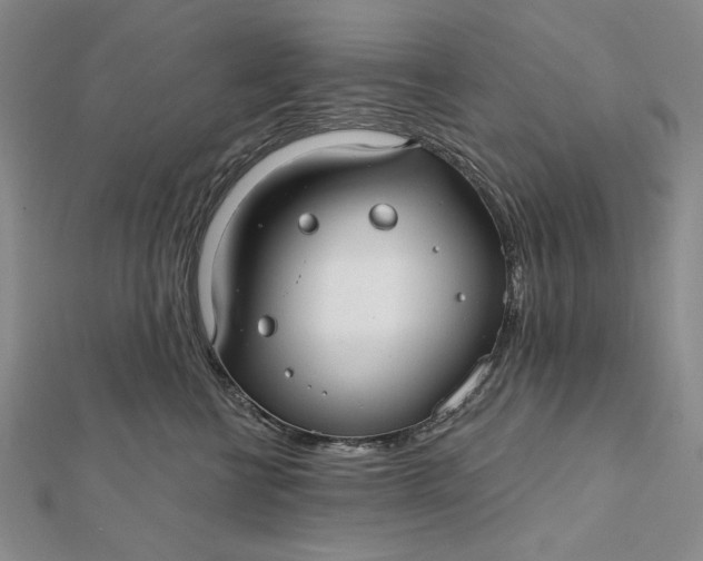 X0000112060570200908251023