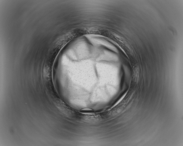 X0000112060571200908251023