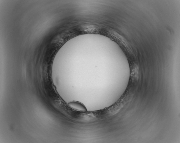 X0000112060572200908251023