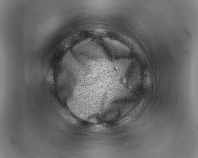 X0000112060573200908251023