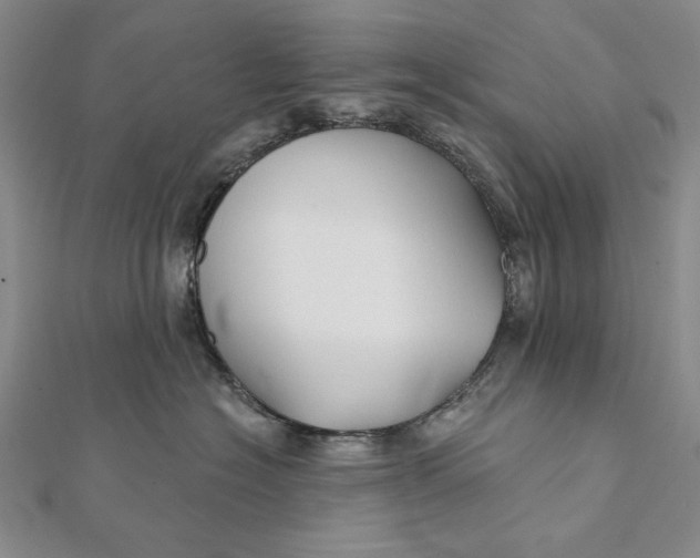 X0000112060574200908251023