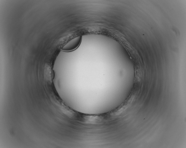 X0000112060575200908251023