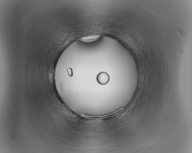 X0000112060576200908251023