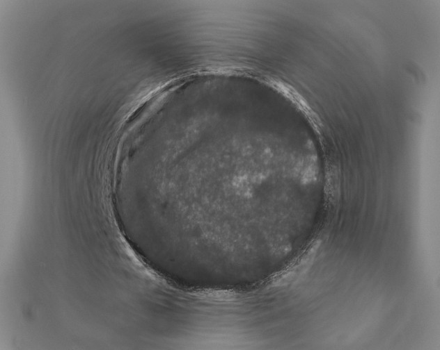 X0000112060577200908251023