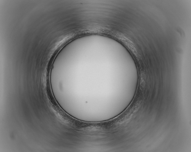 X0000112060578200908251023