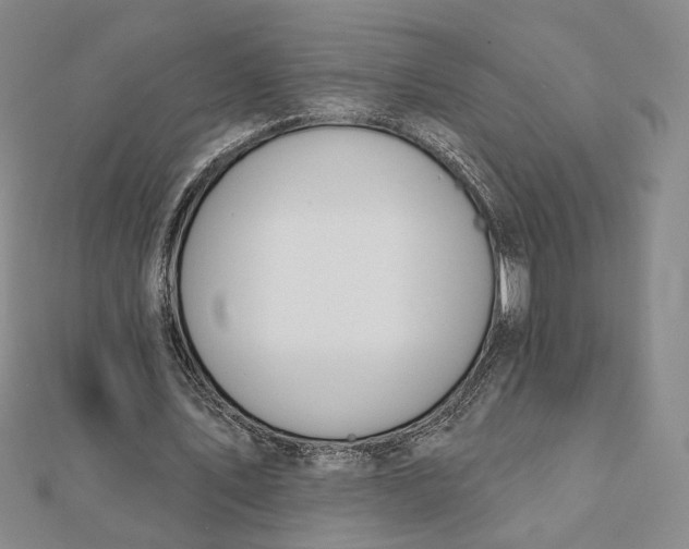 X0000112060579200908251023