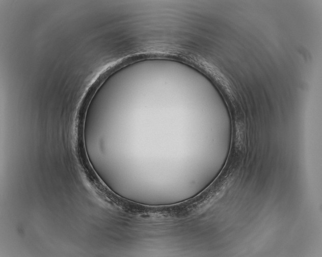 X0000112060580200908251023