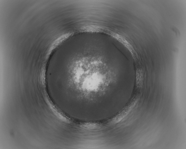 X0000112060581200908251023