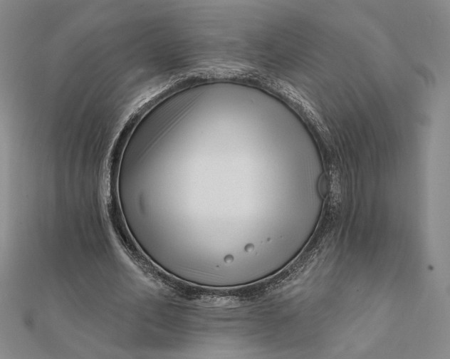 X0000112060582200908251023