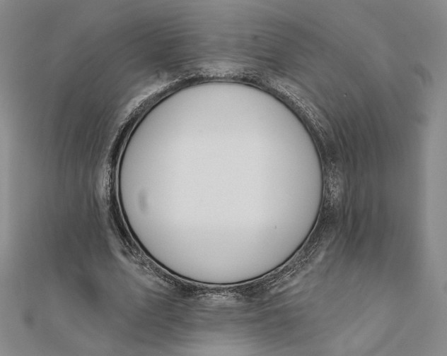 X0000112060583200908251023