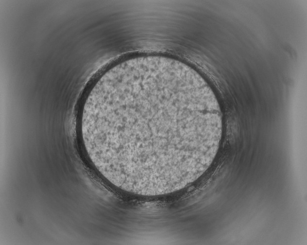 X0000112060584200908251023