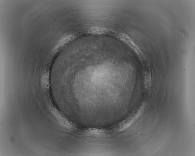 X0000112060585200908251023