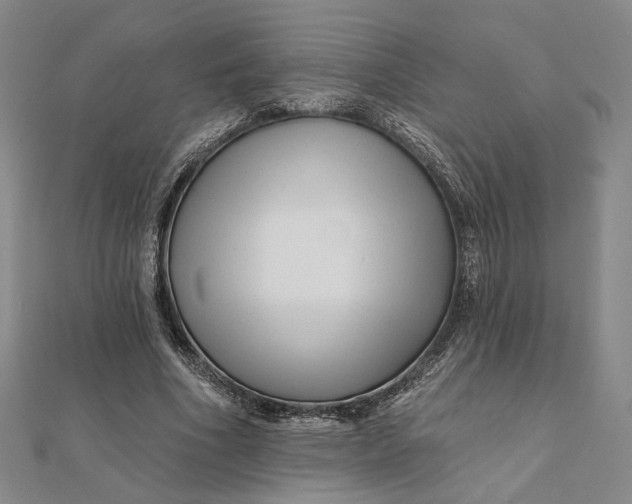 X0000112060586200908251023