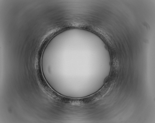 X0000112060587200908251023