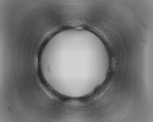 X0000112060589200908251023