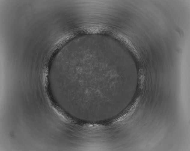 X0000112060590200908251022