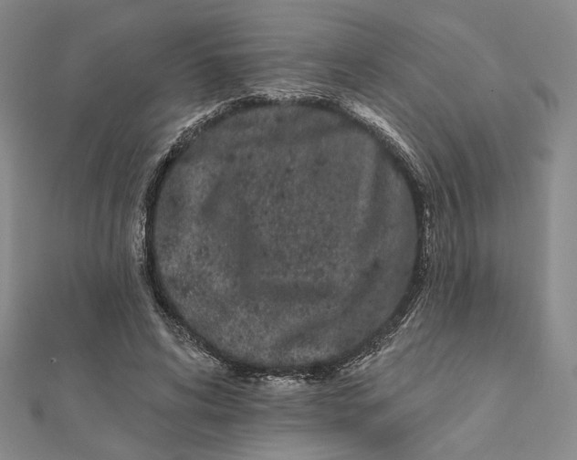 X0000112060592200908251022