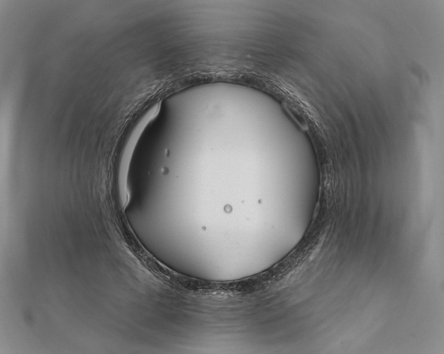 X0000112060593200908251022