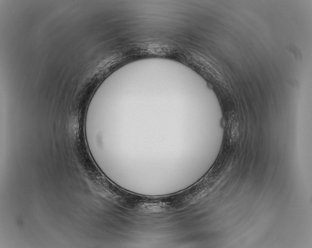 X0000112060595200908251022