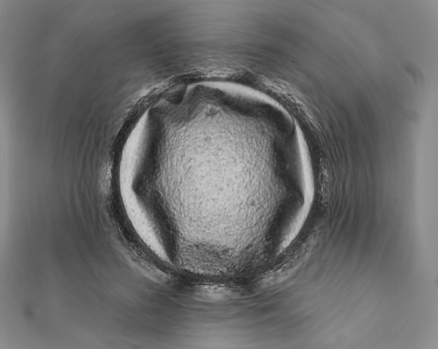 X0000112060596200908251022